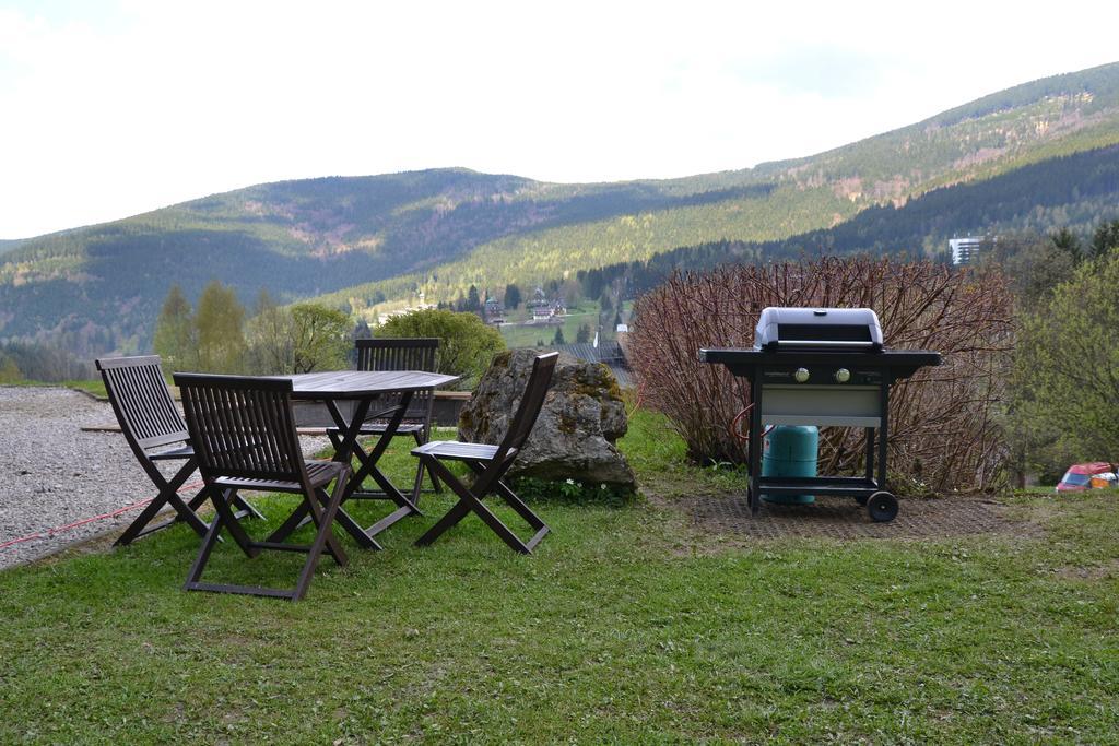 Pension Silva Spindleruv Mlyn Exterior photo
